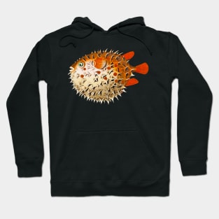 Colorful and vintage chubby fish for illustration Hoodie